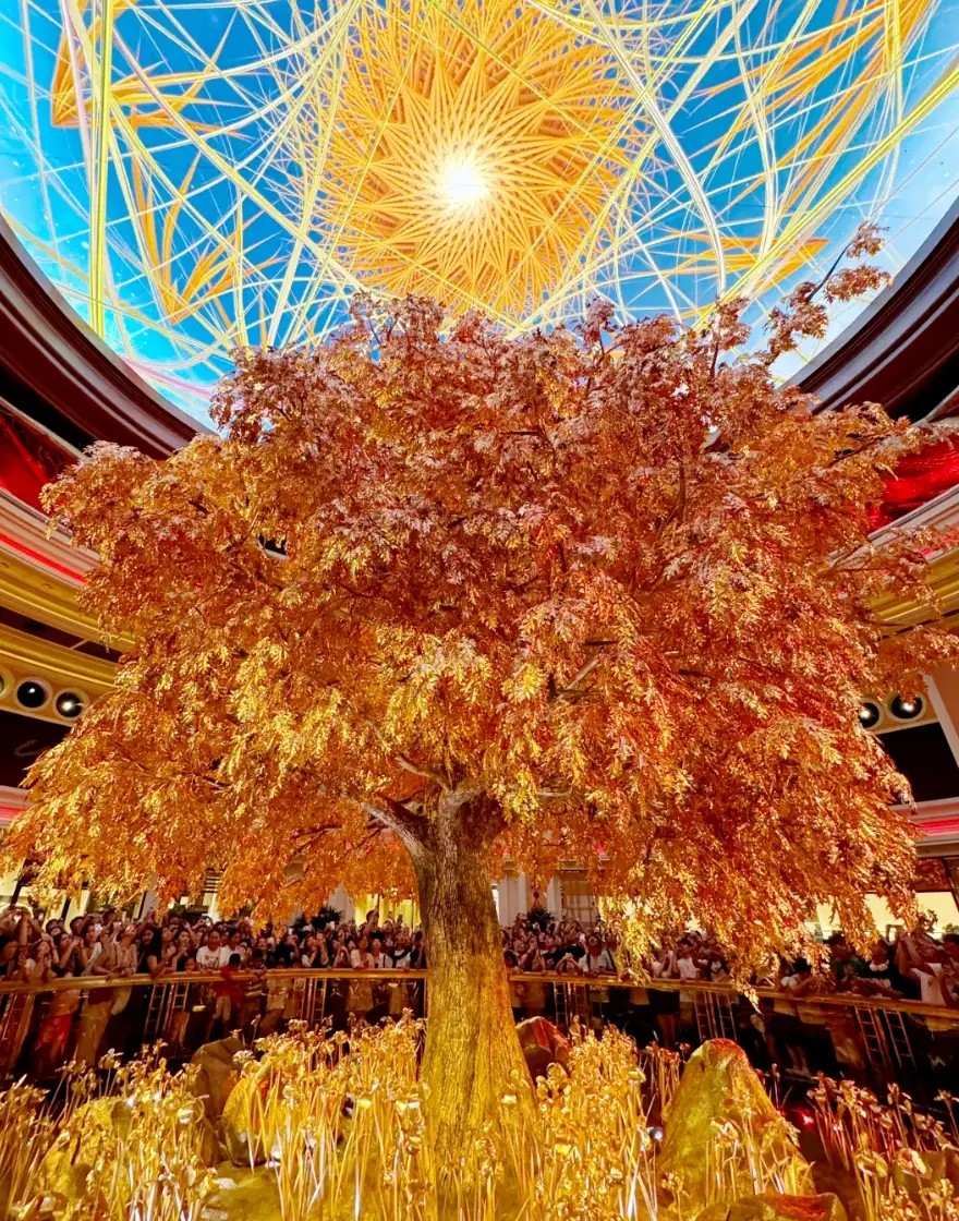 2天时间,赢600万是一种什么样的体验